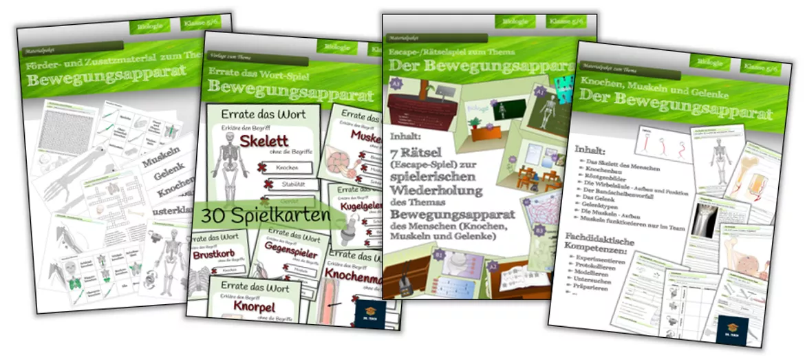 Bild in der Beschreibung des Unterrichtsmaterials Bewegungsapparat von Dr.Teach #1