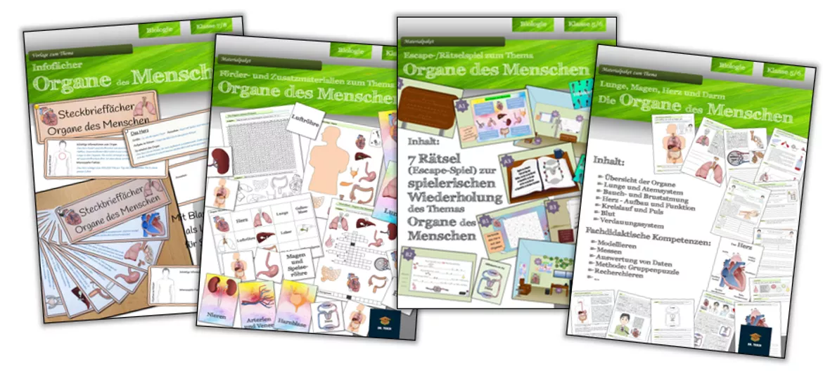 Bild in der Beschreibung des Unterrichtsmaterials Organe von Dr.Teach #1