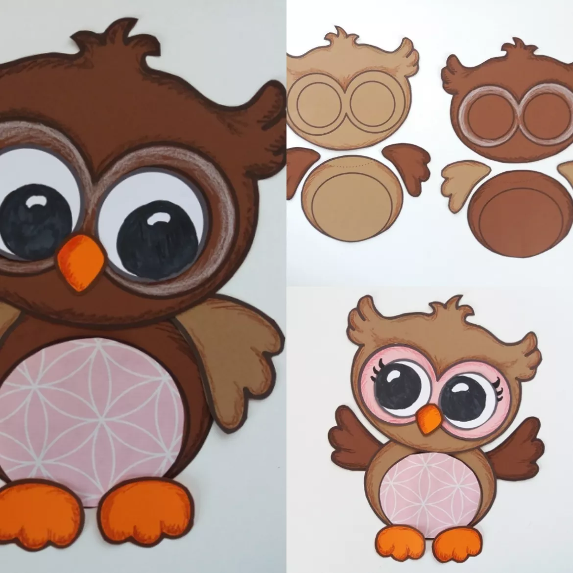 Eulen basteln Vögel Bastelvorlage Herbst Winter Wald