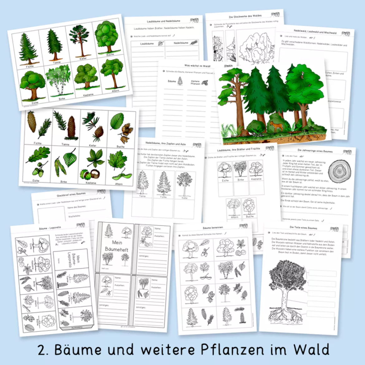 Bild in der Beschreibung des Unterrichtsmaterials Wald (Sachunterricht, Lernwerkstatt) von Grundschulatelier #3