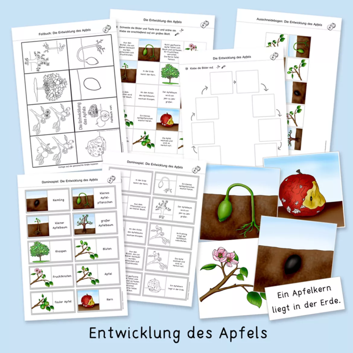 Bild in der Beschreibung des Unterrichtsmaterials Apfel (Herbst, Apfelwerkstatt, Sachunterricht) von Grundschulatelier #2