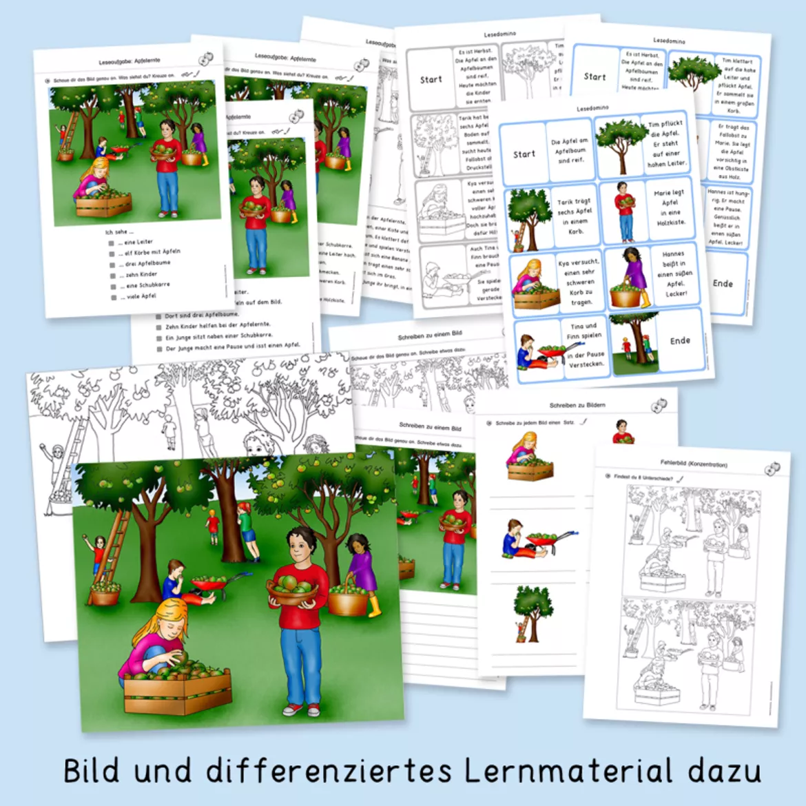 Bild in der Beschreibung des Unterrichtsmaterials Apfel (Herbst, Apfelwerkstatt, Sachunterricht) von Grundschulatelier #6
