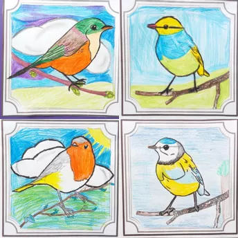 Bild in der Beschreibung des Unterrichtsmaterials Malvorlage zur Vogelstudie Vögel auf Ast Gemeinschaftsbild von Wolkenland.Graphics #1