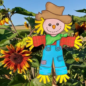 Bild in der Beschreibung des Unterrichtsmaterials Vogelscheuche Bastelvorlage: Fensterbild & Dekoration Kunstunterricht Klasse 1-4 (Herbst basteln / Papier-Schablonen / Spätsommer) von Wolkenland.Graphics #1