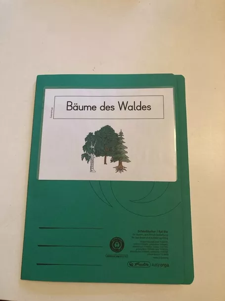 Bild in der Beschreibung des Unterrichtsmaterials Klettmappe Bäume des Waldes von FreuleinBerg #1
