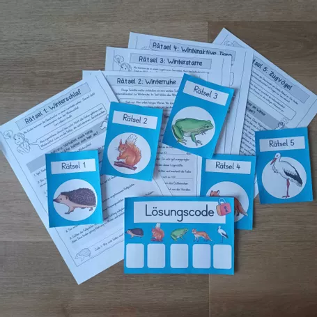 Bild in der Beschreibung des Unterrichtsmaterials Escape Room: Tiere im Winter (Klasse 3/4) von mrs.pri.mary #1