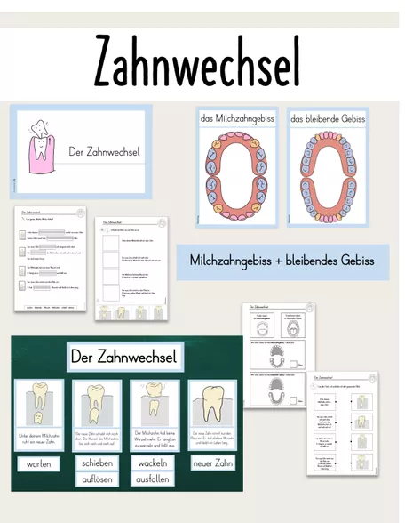 Bild in der Beschreibung des Unterrichtsmaterials Zähne: Zahnwechsel - Arbeitsblätter & Tafelmaterial von FreuleinBerg #1