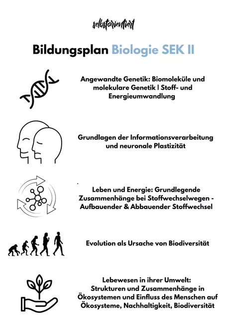 Bild in der Beschreibung des Unterrichtsmaterials Kerncurriculum im Fach Biologie in der GoST - Niedersachsen von selbstorientiert #1