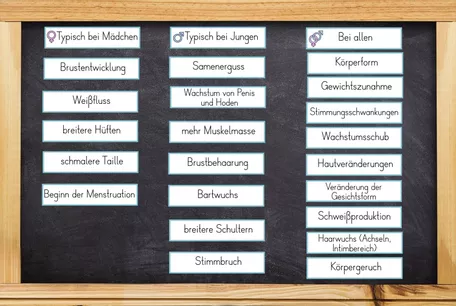 Bild in der Beschreibung des Unterrichtsmaterials Sexualerziehung / Sexuelle Bildung - die Pubertät - körperliche Veränderungen von Odd Bird & Company #3