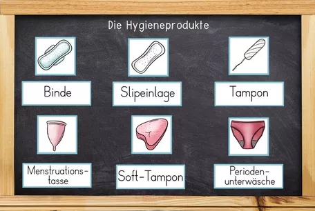 Bild in der Beschreibung des Unterrichtsmaterials Sexualerziehung - Menstruation / Periode - Menstruationszyklus & Hygieneprodukte von Odd Bird & Company #2