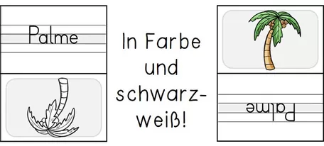 Bild in der Beschreibung des Unterrichtsmaterials Erste Wörter schreiben - lautgetreu - Umdrehkärtchen von Odd Bird & Company #2