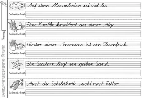 Bild in der Beschreibung des Unterrichtsmaterials Schreibschrift (SAS) üben & trainieren mit Knickblättern - inklusive Blankovorlage - Schulausgangsschrift von Odd Bird & Company #1