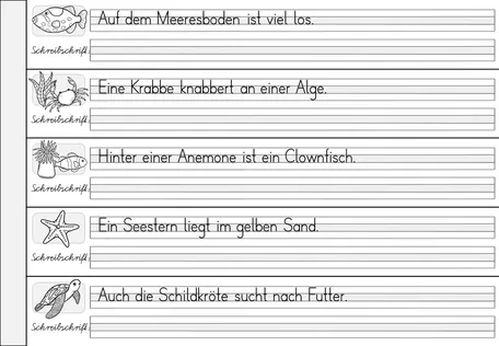 Bild in der Beschreibung des Unterrichtsmaterials Schreibschrift (SAS) üben & trainieren mit Knickblättern - inklusive Blankovorlage - Schulausgangsschrift von Odd Bird & Company #2