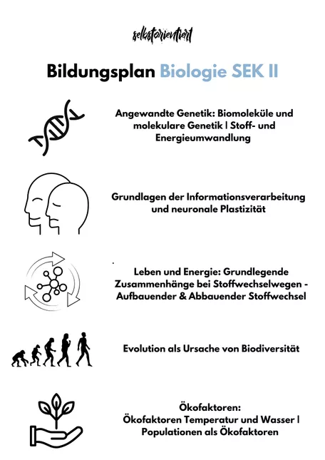 Bild in der Beschreibung des Unterrichtsmaterials Bildungsplan im Fach Biologie in der GoST - Bremen von selbstorientiert #1