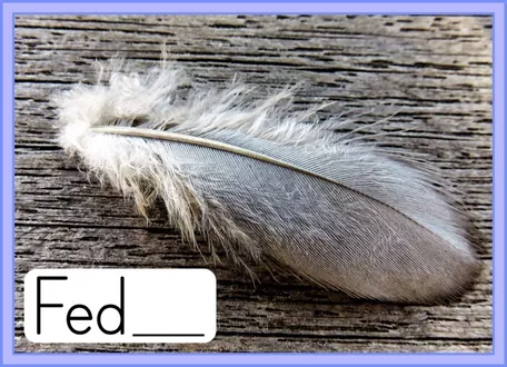 Bild in der Beschreibung des Unterrichtsmaterials Bildkarten - Schlawiner e - Endungen -el, -en, -er von Odd Bird & Company #1