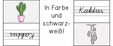 Bild in der Beschreibung des Unterrichtsmaterials Erste Wörter (lautgetreu) schreiben in Schreibschrift - Schulausgangsschrift SAS - Umdrehkarten von Odd Bird & Company #1
