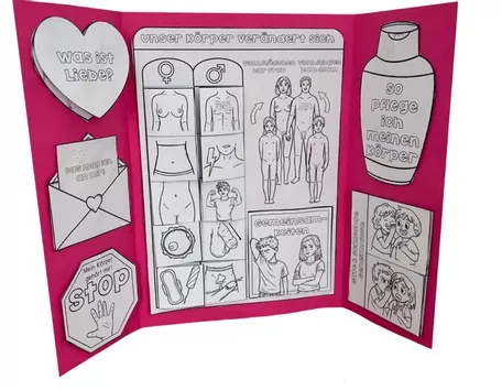 Bild in der Beschreibung des Unterrichtsmaterials Sexualerziehung / Sexuelle BIldung - Lapbook Bastelvorlage - individuell kombinierbar von Odd Bird & Company #1