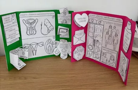 Bild in der Beschreibung des Unterrichtsmaterials Sexualerziehung / Sexuelle BIldung - Lapbook Bastelvorlage - individuell kombinierbar von Odd Bird & Company #3