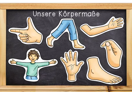 Bild in der Beschreibung des Unterrichtsmaterials Längen und messen Bildkarten - Messgeräte & Körpermaße von Odd Bird & Company #1
