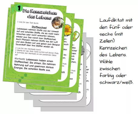 Bild in der Beschreibung des Unterrichtsmaterials Kennzeichen des Lebens / Kennzeichen der Lebewesen - Laufdiktat oder Stationen - Merkblatt - Biologie Klasse 5 / 6 - Unterrichtsstunde von FrMangold #1