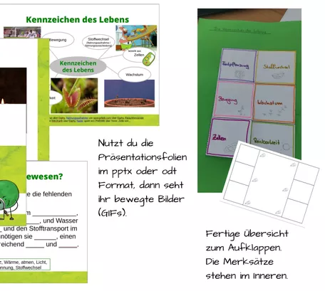 Bild in der Beschreibung des Unterrichtsmaterials Kennzeichen des Lebens / Kennzeichen der Lebewesen - Laufdiktat oder Stationen - Merkblatt - Biologie Klasse 5 / 6 - Unterrichtsstunde von FrMangold #2