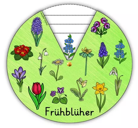 Bild in der Beschreibung des Unterrichtsmaterials Frühblüher Klasse 3-4 DREHSCHEIBE basteln von Helles Köpfchen #1