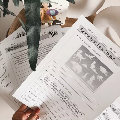 Bild in der Beschreibung des Unterrichtsmaterials Lesebegleitheft zum Buch "Frau Honig und die Schule der Fantasie" von Papillionis #1