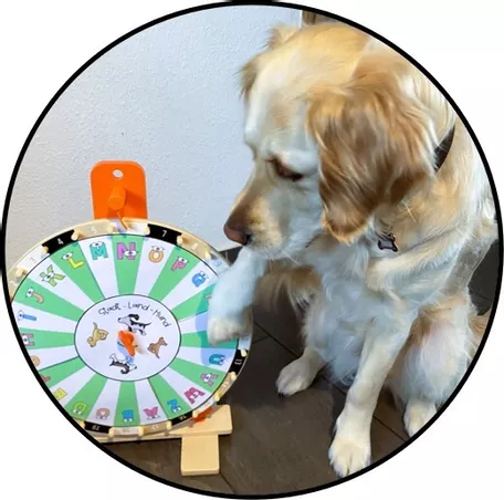 Bild in der Beschreibung des Unterrichtsmaterials Stadt-Land-Hund (mit oder ohne Schulhund) inkl. Glücksrad-Vorlage von Emma Sonnenberg #1