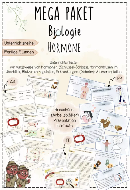 Bild in der Beschreibung des Unterrichtsmaterials Hormone: Letzte Unterrichtsstunde vor Weihnachten | Biologie 8 | Escape Room | sofort einsetzbar von BluteRotkörperchen #1