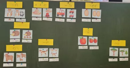 Bild in der Beschreibung des Unterrichtsmaterials Einzahl - Mehrzahl. Tafelmaterial zur Einführung von Madame Plume #1