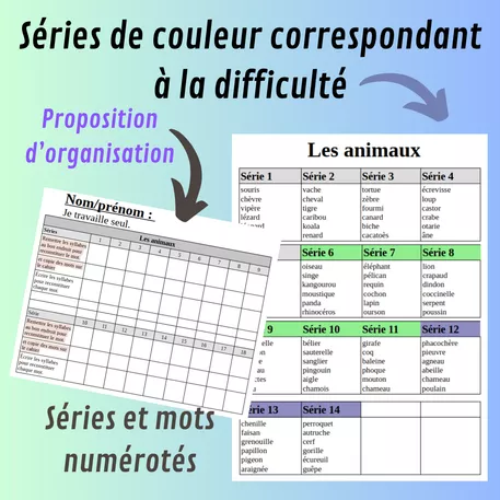Bild in der Beschreibung des Unterrichtsmaterials Décoder, encoder, accéder à la lecture de mots von Le cartable de Patricia #4
