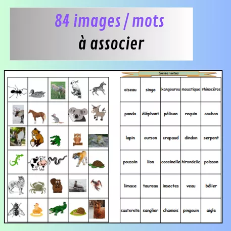 Bild in der Beschreibung des Unterrichtsmaterials Décoder, encoder, accéder à la lecture de mots von Le cartable de Patricia #3