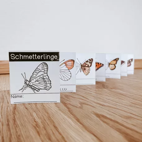 Bild in der Beschreibung des Unterrichtsmaterials Der Schmetterling - XXL Materialpaket von The Growing Firsties #5