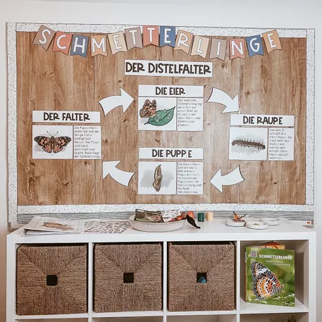Bild in der Beschreibung des Unterrichtsmaterials Der Schmetterling - XXL Materialpaket von The Growing Firsties #4