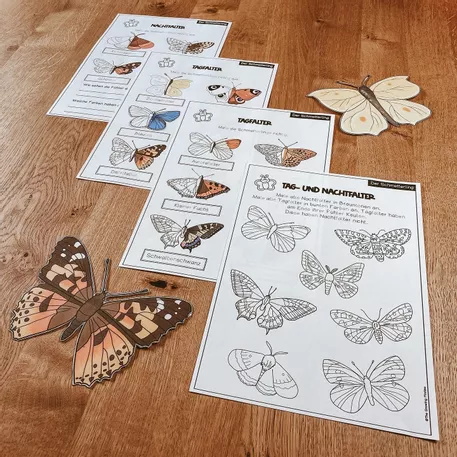 Bild in der Beschreibung des Unterrichtsmaterials Der Schmetterling - Forschungsheft (Arbeitsblätter + Lösungsblätter) von The Growing Firsties #9