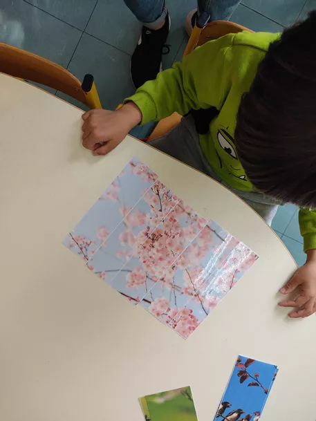 Bild in der Beschreibung des Unterrichtsmaterials 6 puzzles du printemps, cycle 1 maternelle von la classe de juliette #2