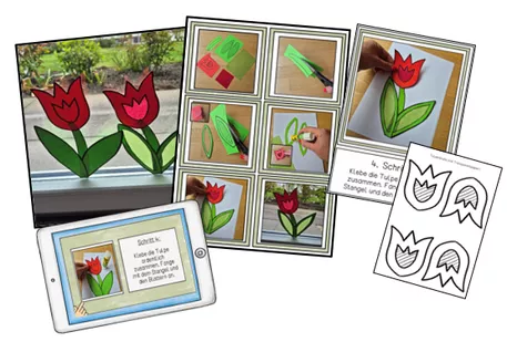 Bild in der Beschreibung des Unterrichtsmaterials Fensterdeko "Tulpe" - Wir basteln eine Tulpe von Frau Espunkt #1