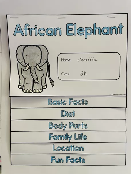 Bild in der Beschreibung des Unterrichtsmaterials African Elephant - Flip Book von Camilla