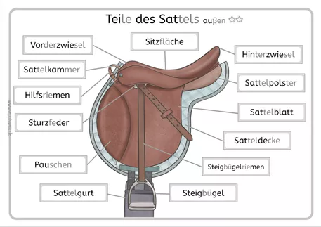 Bild in der Beschreibung des Unterrichtsmaterials Die Ausrüstung des Pferdes: Sattel und Zaumzeug von Seppiswelt #1