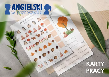 Bild in der Beschreibung des Unterrichtsmaterials ANGIELSKI W PRZEDSZKOLU: Autumn – paczka materiałów na wrzesień + plan pracy von Patyczanka #3