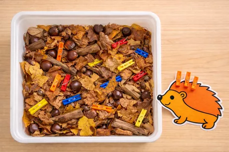 Bild in der Beschreibung des Unterrichtsmaterials Igel im Herbst – Farben zuordnen mit Wäscheklammern | Feinmotorik & Pränumerik | Klasse 1 | Förderschule von DieRelitante #2