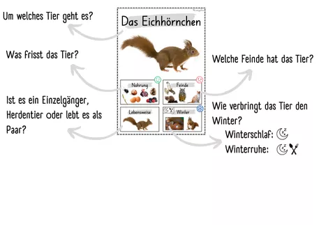 Bild in der Beschreibung des Unterrichtsmaterials Plakate: Sachwissen Waldtiere für den Kindergarten (Poster) von Lernzaubern #1