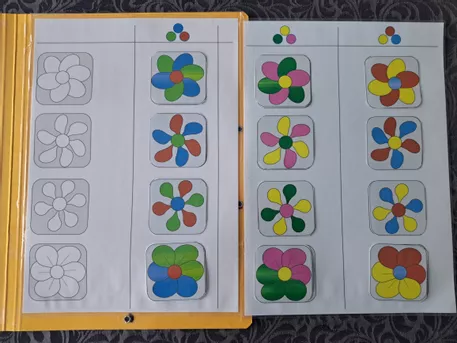 Bild in der Beschreibung des Unterrichtsmaterials Klettmappe: Blüten sortieren von Albee #4