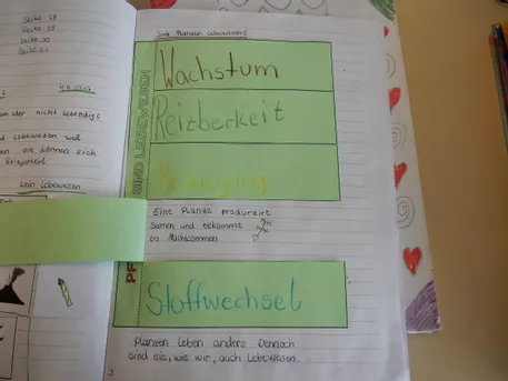 Bild in der Beschreibung des Unterrichtsmaterials Pflanzen sind Lebewesen - Arbeitsblatt und Stundenentwurf - Kennzeichen des Lebens von FrMangold #1