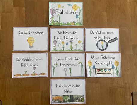 Bild in der Beschreibung des Unterrichtsmaterials Frühblüher - Unterrichtsreihe (Klasse 1+2) von Grundschulimpulse #2