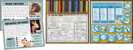 Bild in der Beschreibung des Unterrichtsmaterials PETS - English Bundle von MyTeachingFactory #2