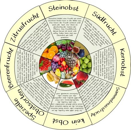 Bild in der Beschreibung des Unterrichtsmaterials Legekreis Obst Lesekreis Obstsorten sortieren von finya_goes_to_school #1