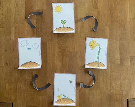 Bild in der Beschreibung des Unterrichtsmaterials Frühblüher - Unterrichtsreihe (Klasse 1+2) von Grundschulimpulse #7