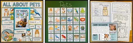 Bild in der Beschreibung des Unterrichtsmaterials PETS - English Bundle von MyTeachingFactory #1