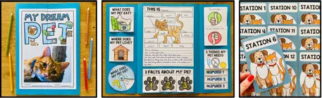 Bild in der Beschreibung des Unterrichtsmaterials PETS - English Bundle von MyTeachingFactory #3
